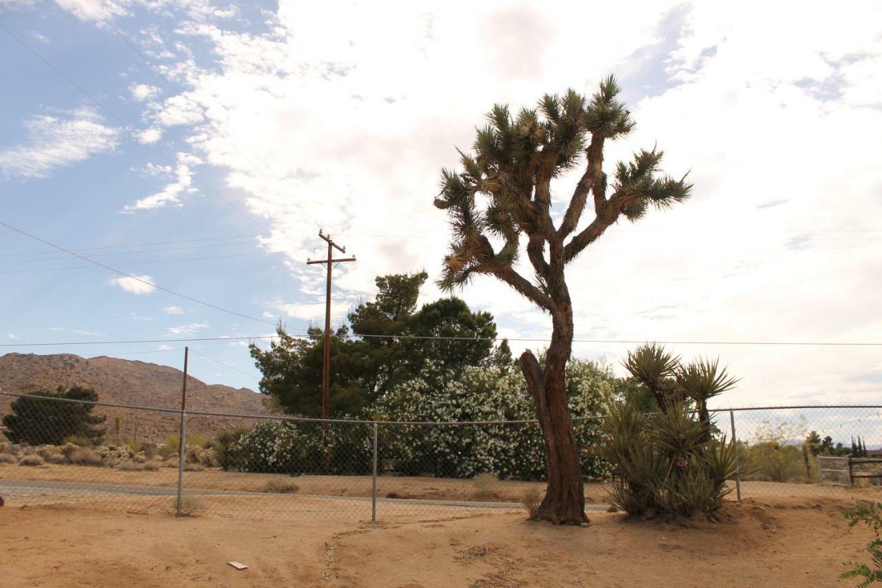 Eclectic Joshua Tree Villa Exterior photo